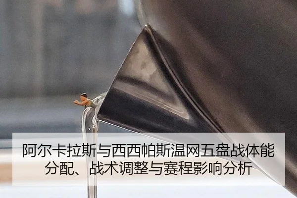 a-er-ka-la-si-yu-xi-xi-pa-si-wen-wang-wu-pan-zhan-ti-neng-fen-pei-zhan-shu-tiao-zheng-yu-sai-cheng-ying-xiang-fen-xi-2-123.jpg