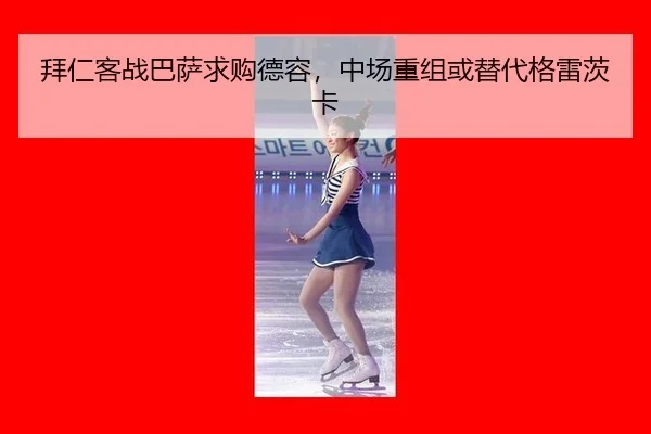 bai-ren-ke-zhan-ba-sa-qiu-gou-de-rong-zhong-chang-chong-zu-huo-ti-dai-ge-lei-ci-ka-2-813.jpg